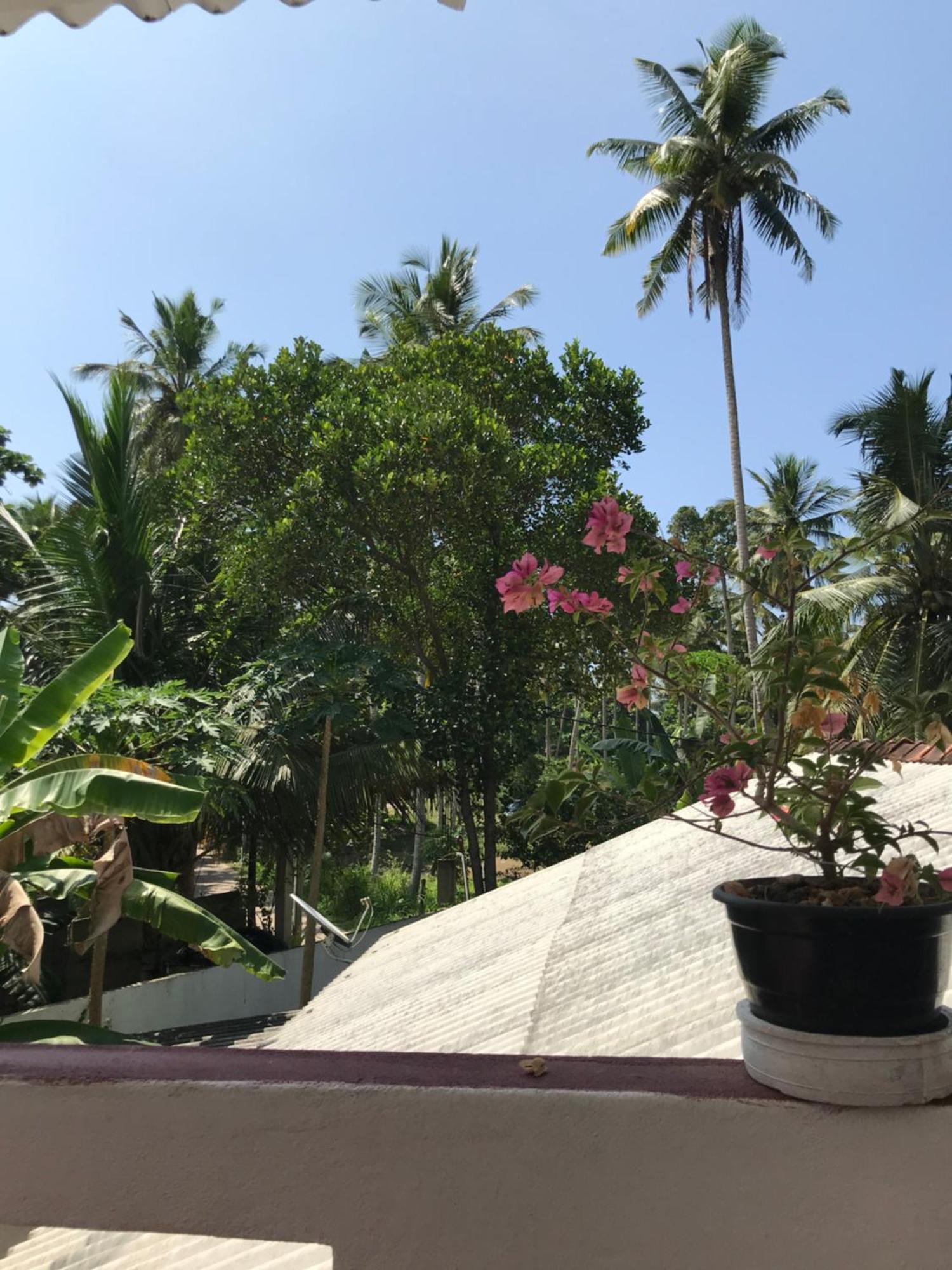 Jungle Villa Ахангама Номер фото